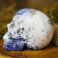 Large Sodalite Crystal Skull