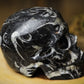 Large Crinoid Crystal Skull