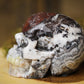 Mexican Crazy Lace Large Crystal Skull