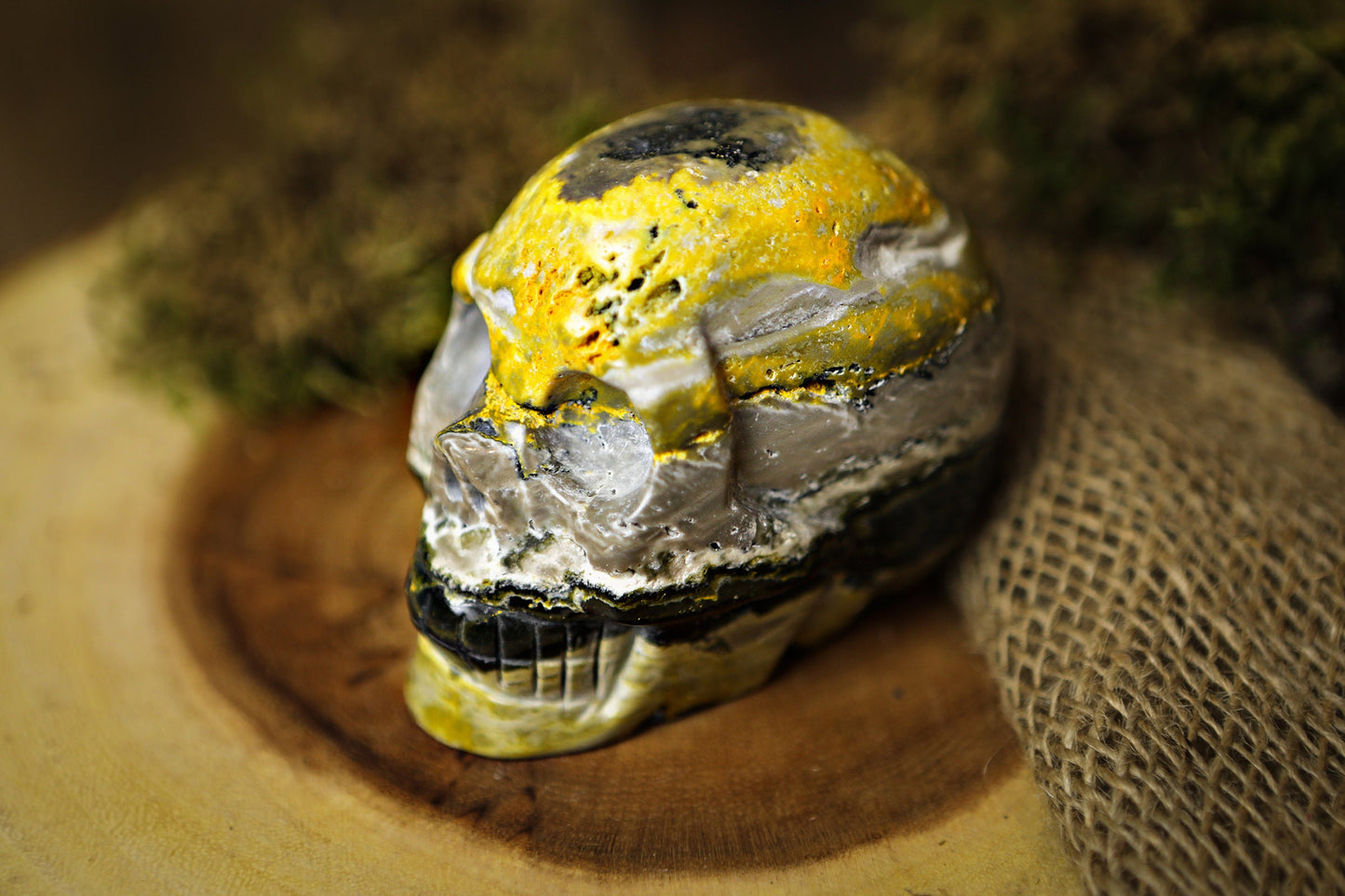 Bumblebee Jasper Crystal Skull