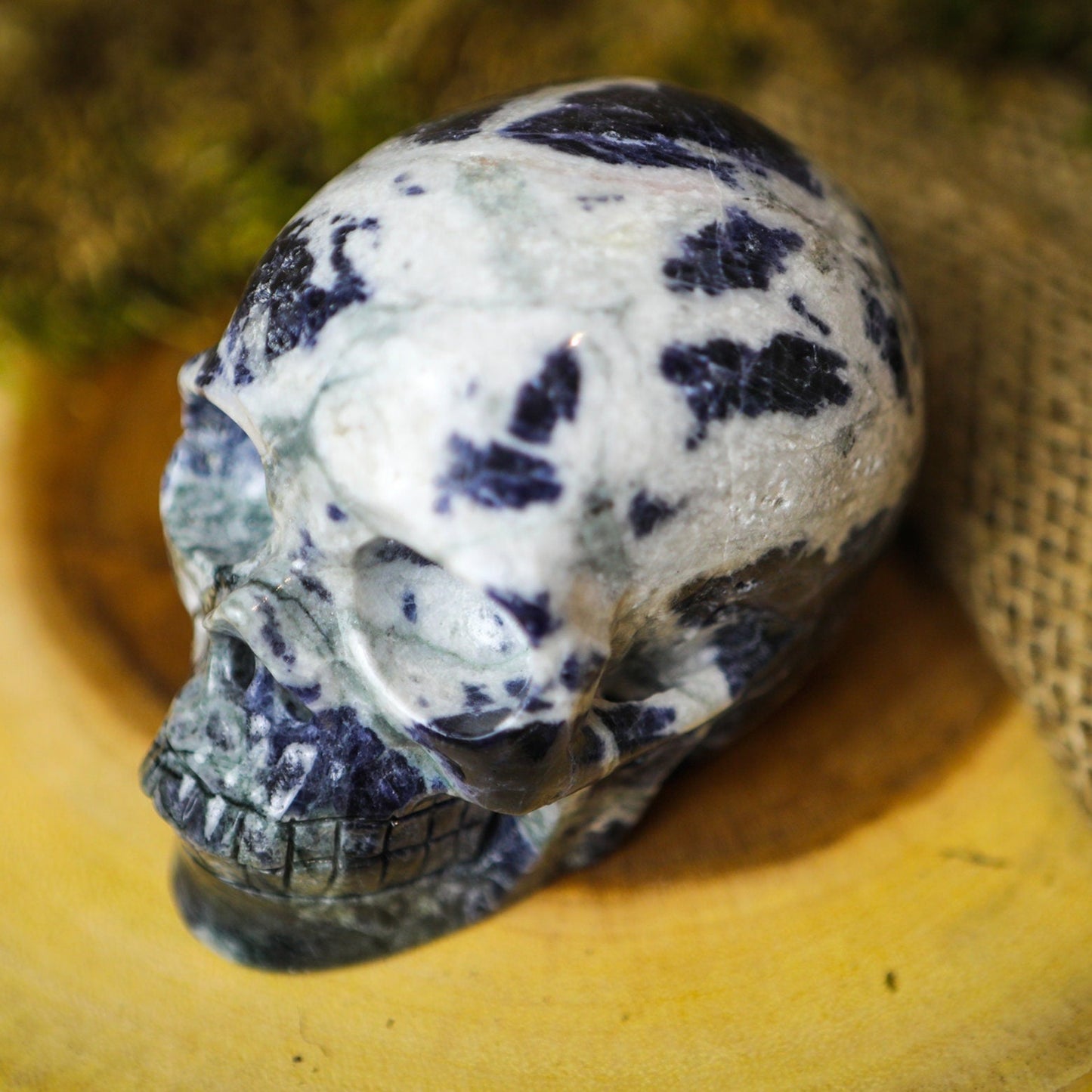 Large Sodalite Crystal Skull