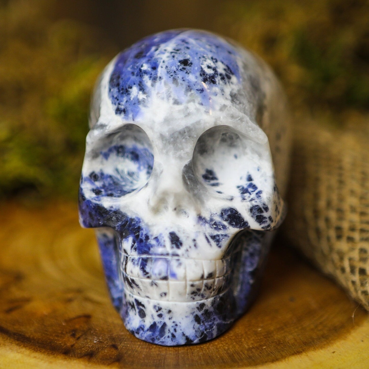 Large Sodalite Crystal Skull