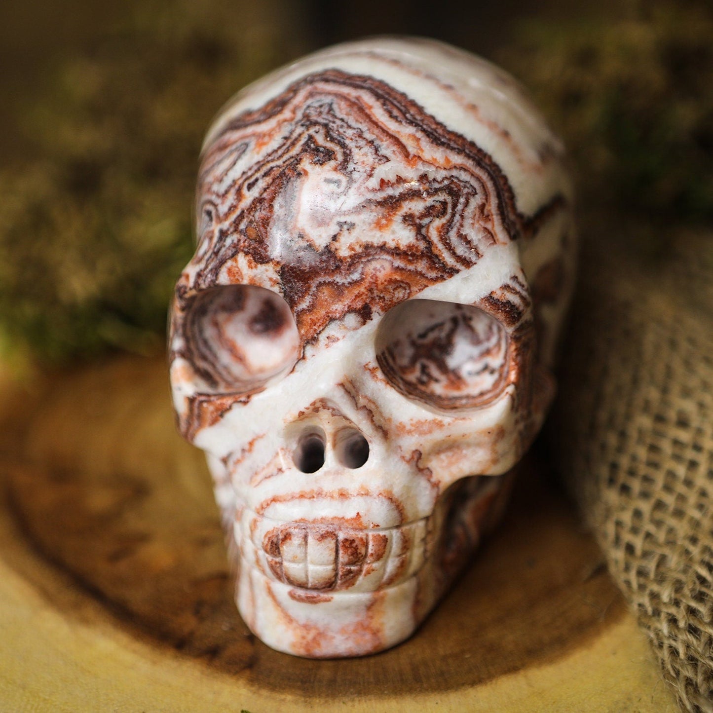 Large Picture Jasper Crystal Skull