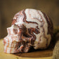 Large Picture Jasper Crystal Skull