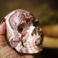 Large Picture Jasper Crystal Skull