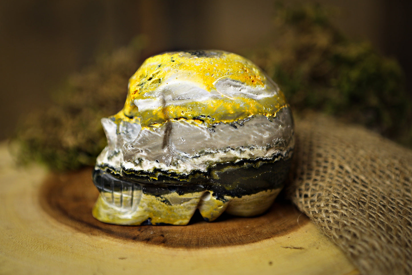 Bumblebee Jasper Crystal Skull