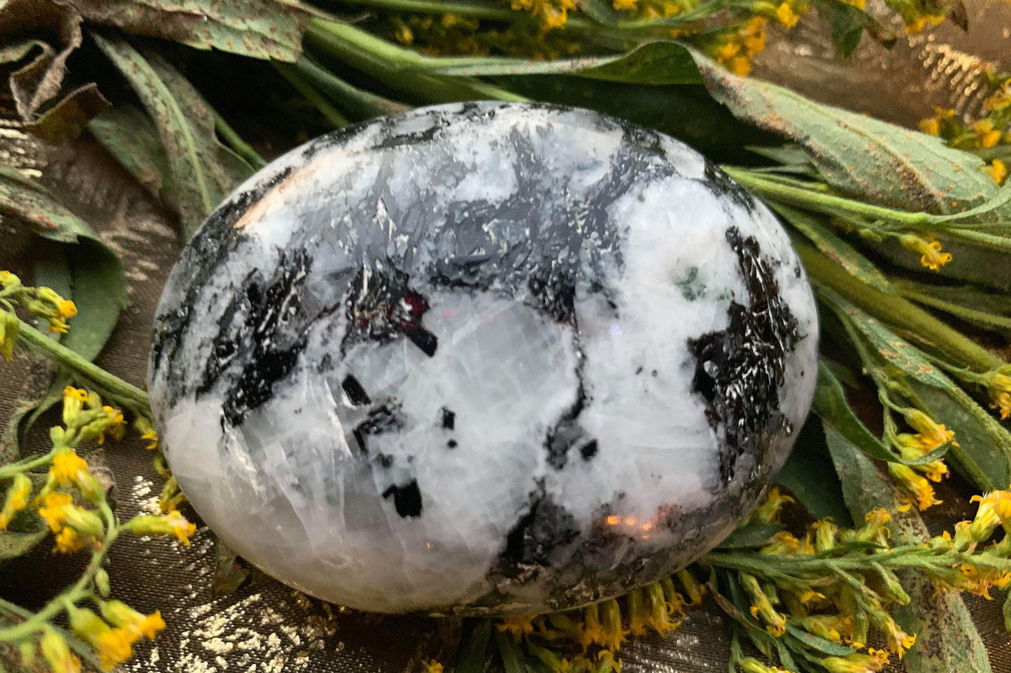 Rainbow Moonstone Palms Crystal Palmstone Intuition Stone