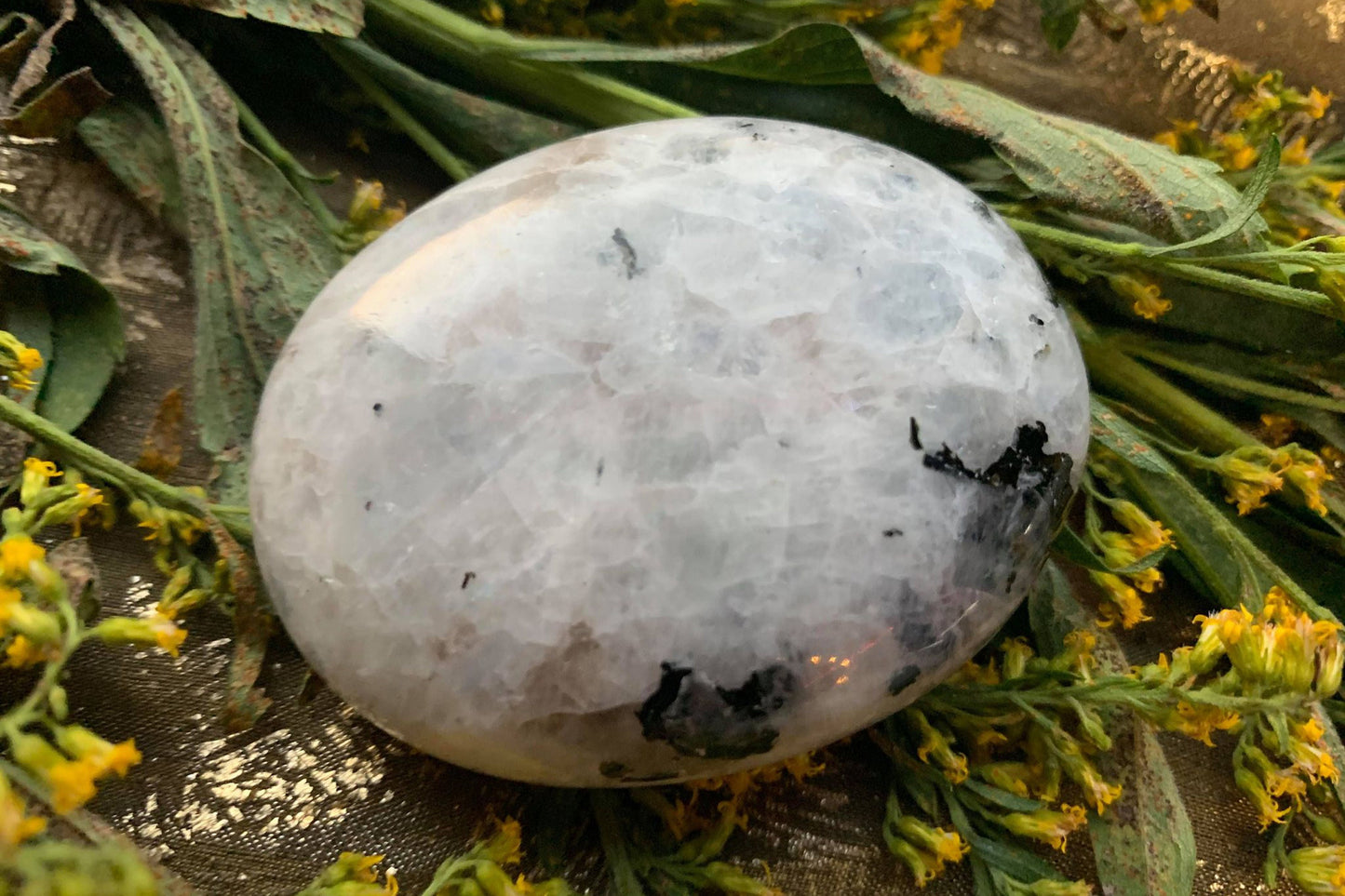 Rainbow Moonstone Palms Crystal Palmstone Intuition Stone