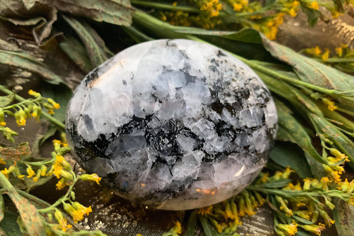 Rainbow Moonstone Palms Crystal Palmstone Intuition Stone