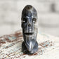 Botswana Agate Moon Skull Crystal