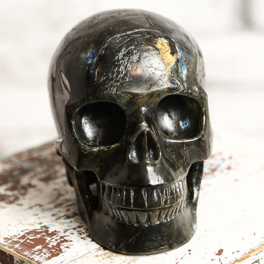 HUGE & POWERFUL Labradorite Crystal Skull - LIFE SIZED