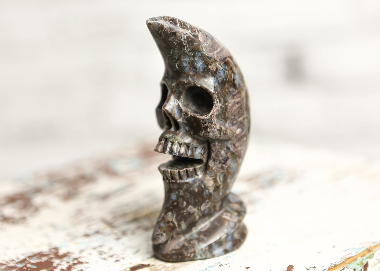 Llanite Rhyolite Moon Skull