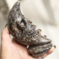 Llanite Rhyolite Moon Skull