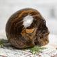 Large Tiger Eye Crystal Skull