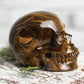 Large Tiger Eye Crystal Skull