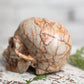 Large Red Vein Jasper Crystal Skull
