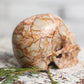 Large Red Vein Jasper Crystal Skull
