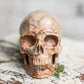 Large Red Vein Jasper Crystal Skull