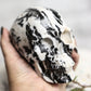 Large Zebra Jasper Crystal Skull