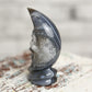 Botswana Agate Moon Skull Crystal