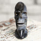 Botswana Agate Moon Skull Crystal