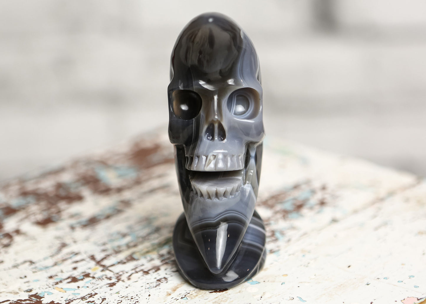 Botswana Agate Moon Skull Crystal