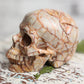 Large Red Vein Jasper Crystal Skull