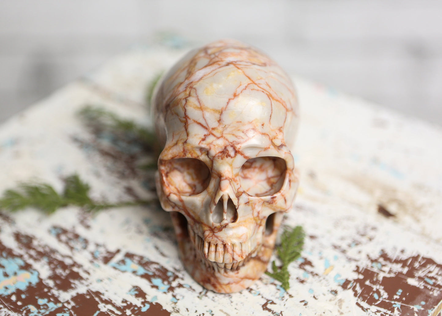 Large Red Vein Jasper Crystal Skull