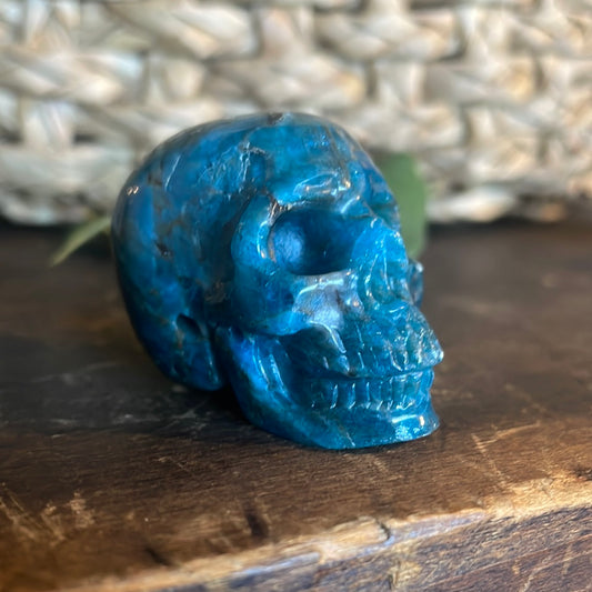 Kyanite Crystal Skull