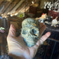 Ocean Jasper Crystal Skull
