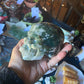 Large Moss Agate Crystal Skull