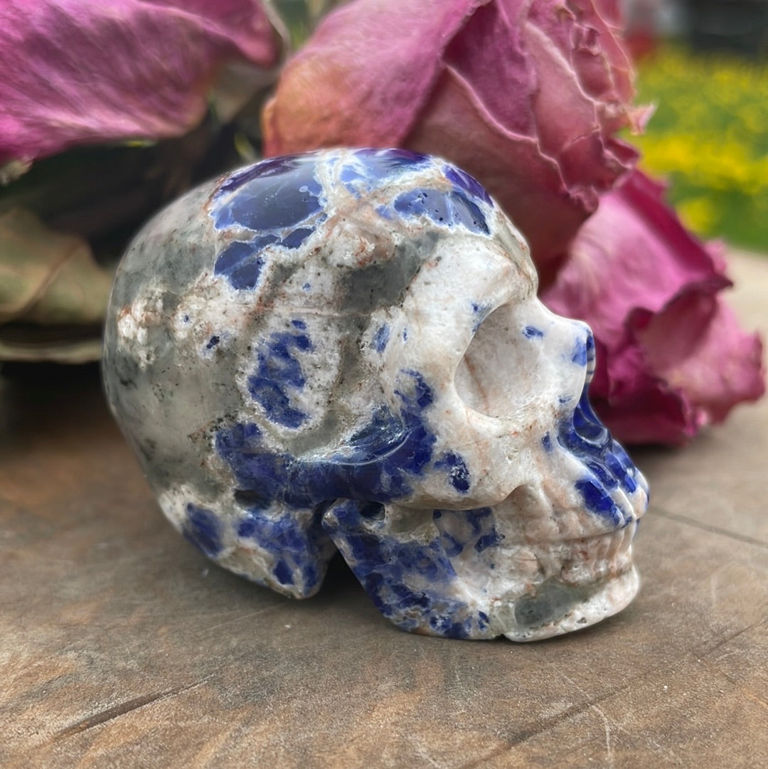 Sodalite Crystal Skull