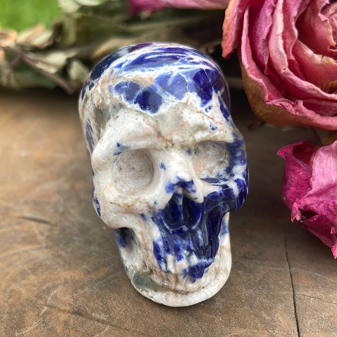 Sodalite Crystal Skull