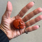 Red Jasper Crystal Skull