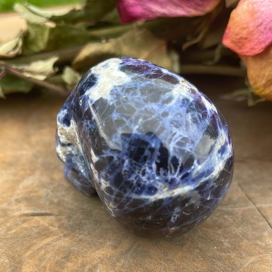 Sodalite Crystal Skull