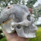 Large Crazy Lace Crystal Skull