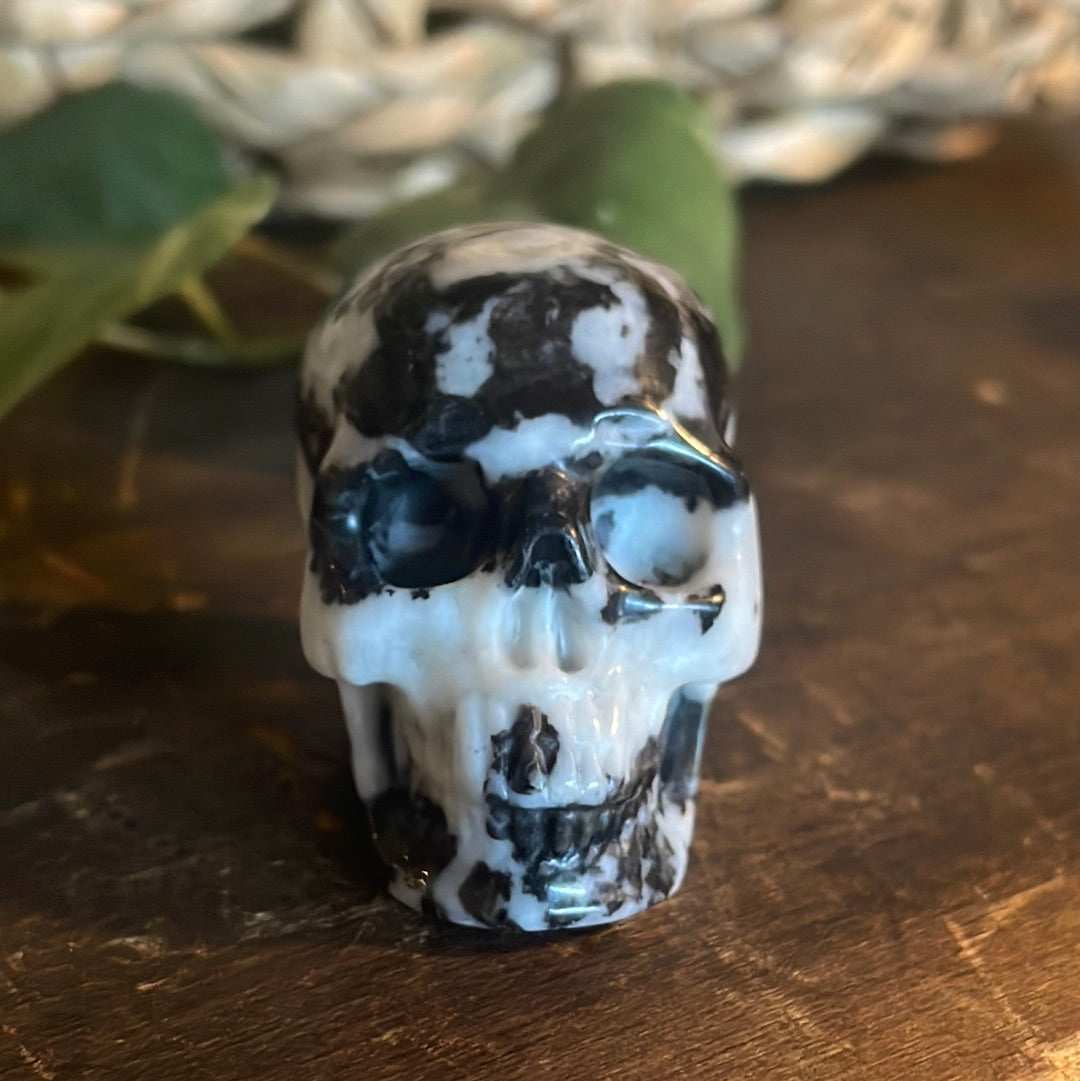 Zebra Jasper Crystal Skull