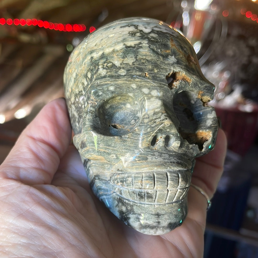 Ocean Jasper Crystal Skull