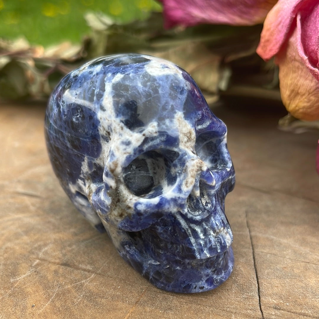 Sodalite Crystal Skull