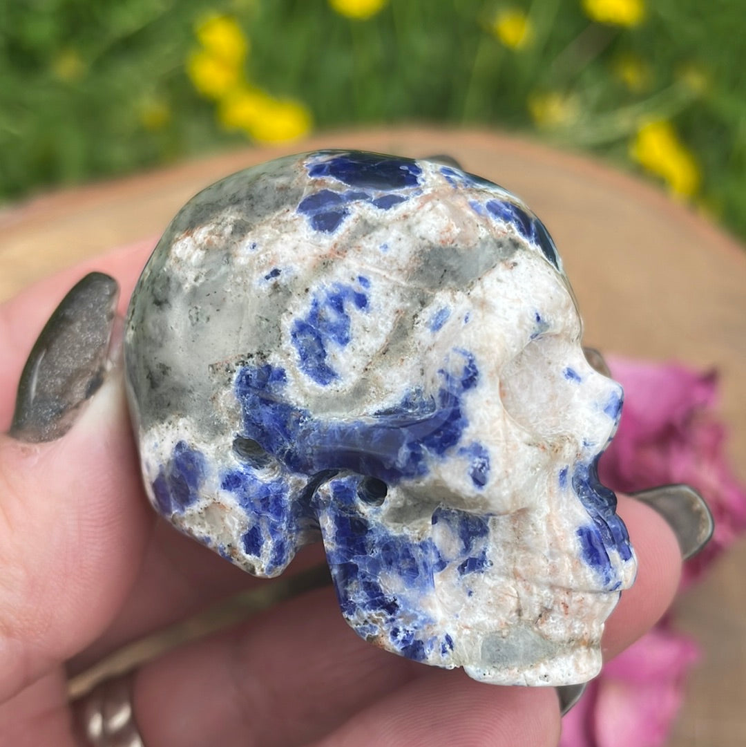 Sodalite Crystal Skull