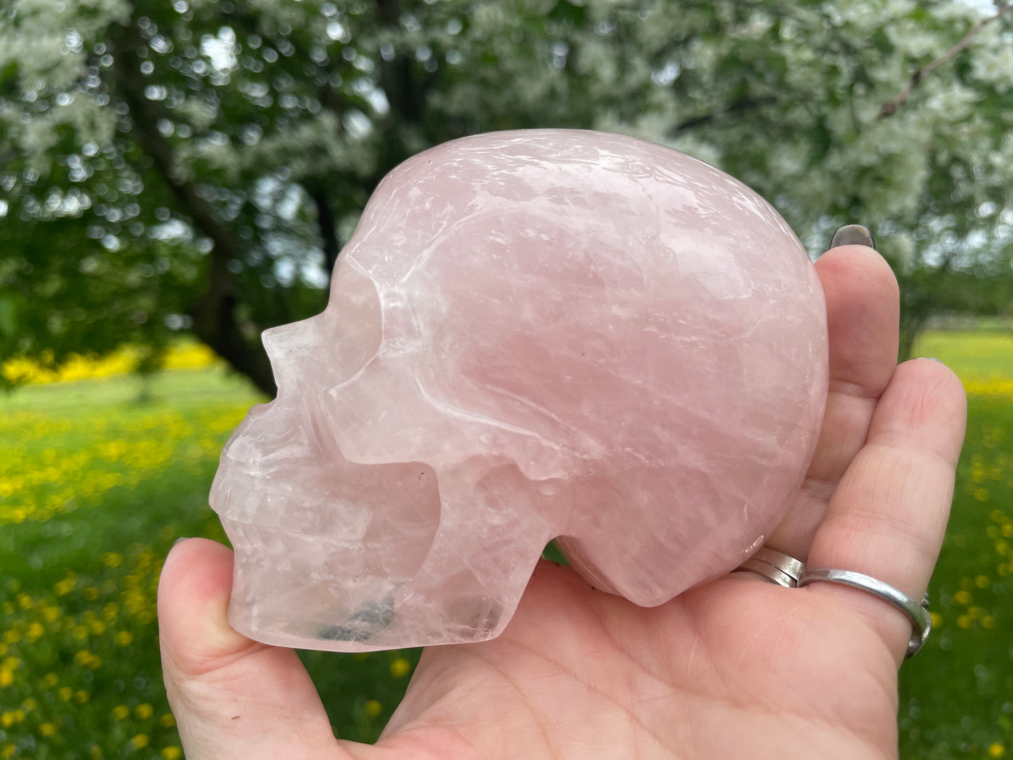 Large Rose Quartz Crystal Skull