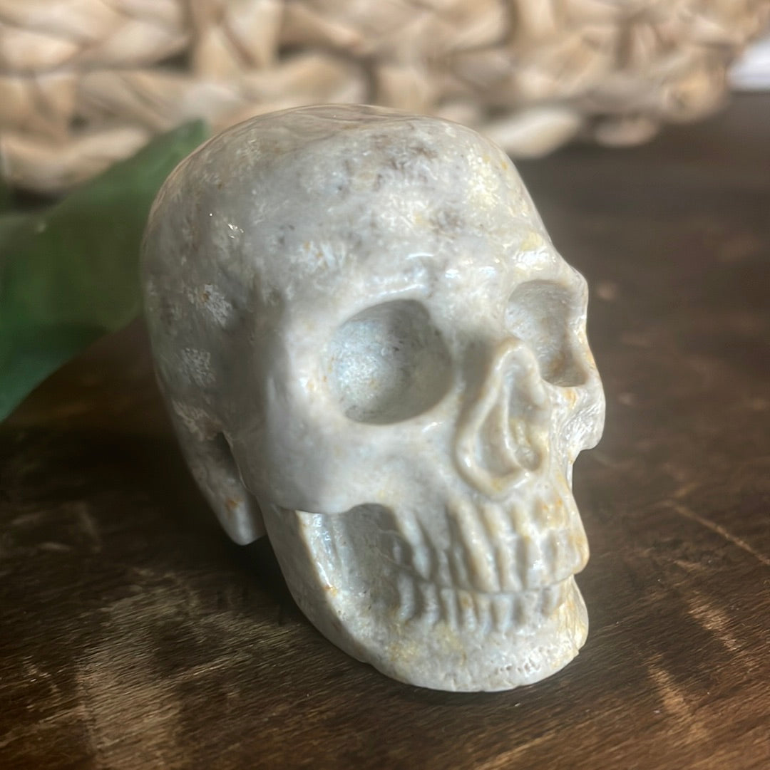 Fossilized Coral Crystal Skull