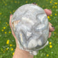 Large Crazy Lace Crystal Skull