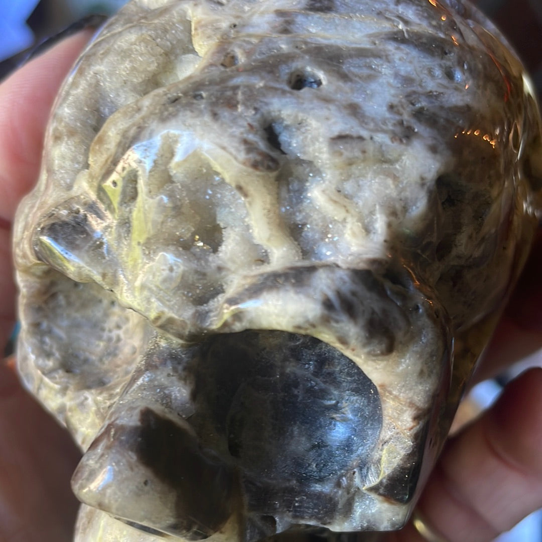 Large Fossilized Coral Crystal Skull
