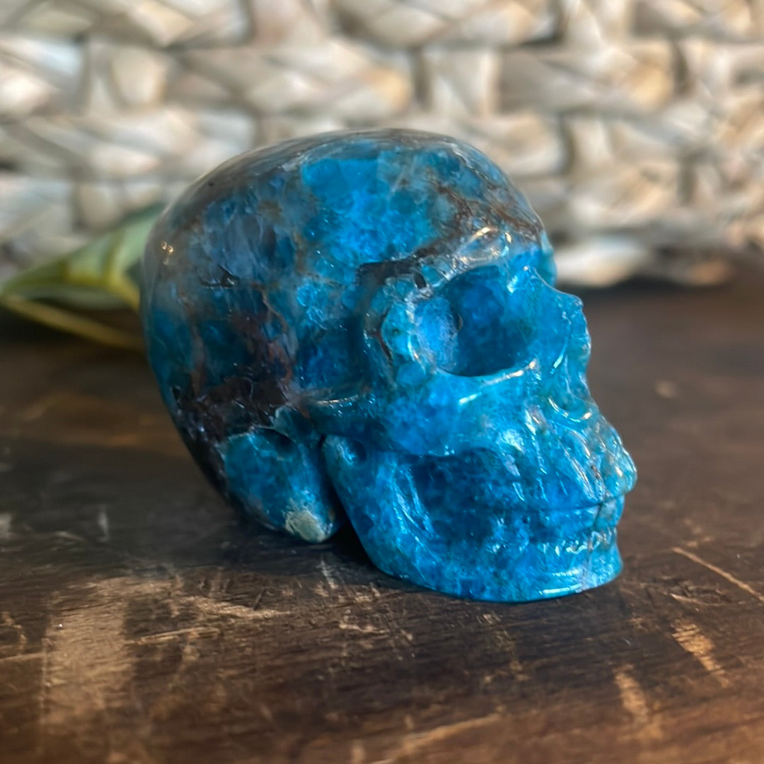 Kyanite Crystal Skull