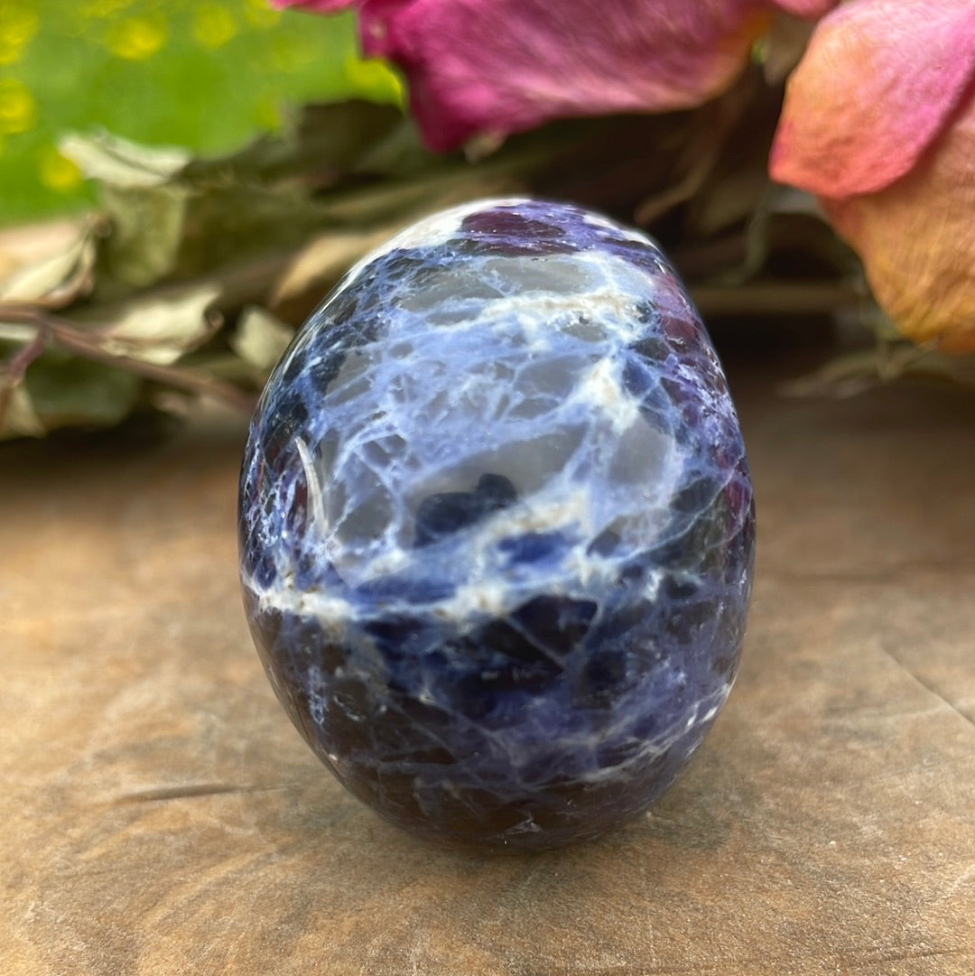 Sodalite Crystal Skull