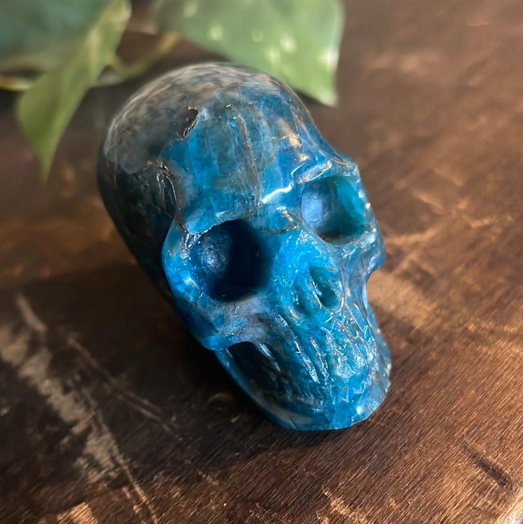 Kyanite Crystal Skull