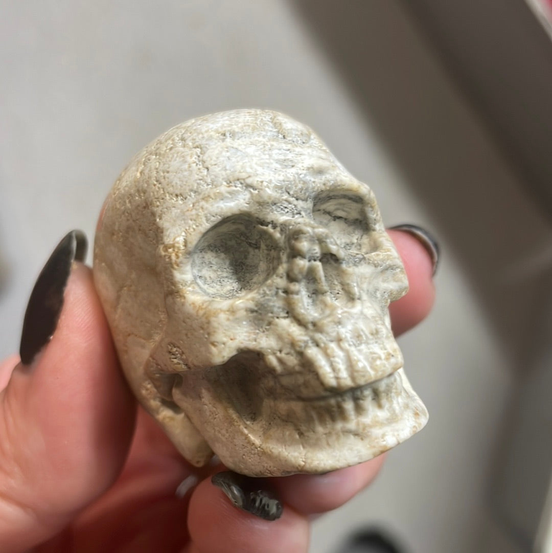 Fossilized Coral Crystal Skull