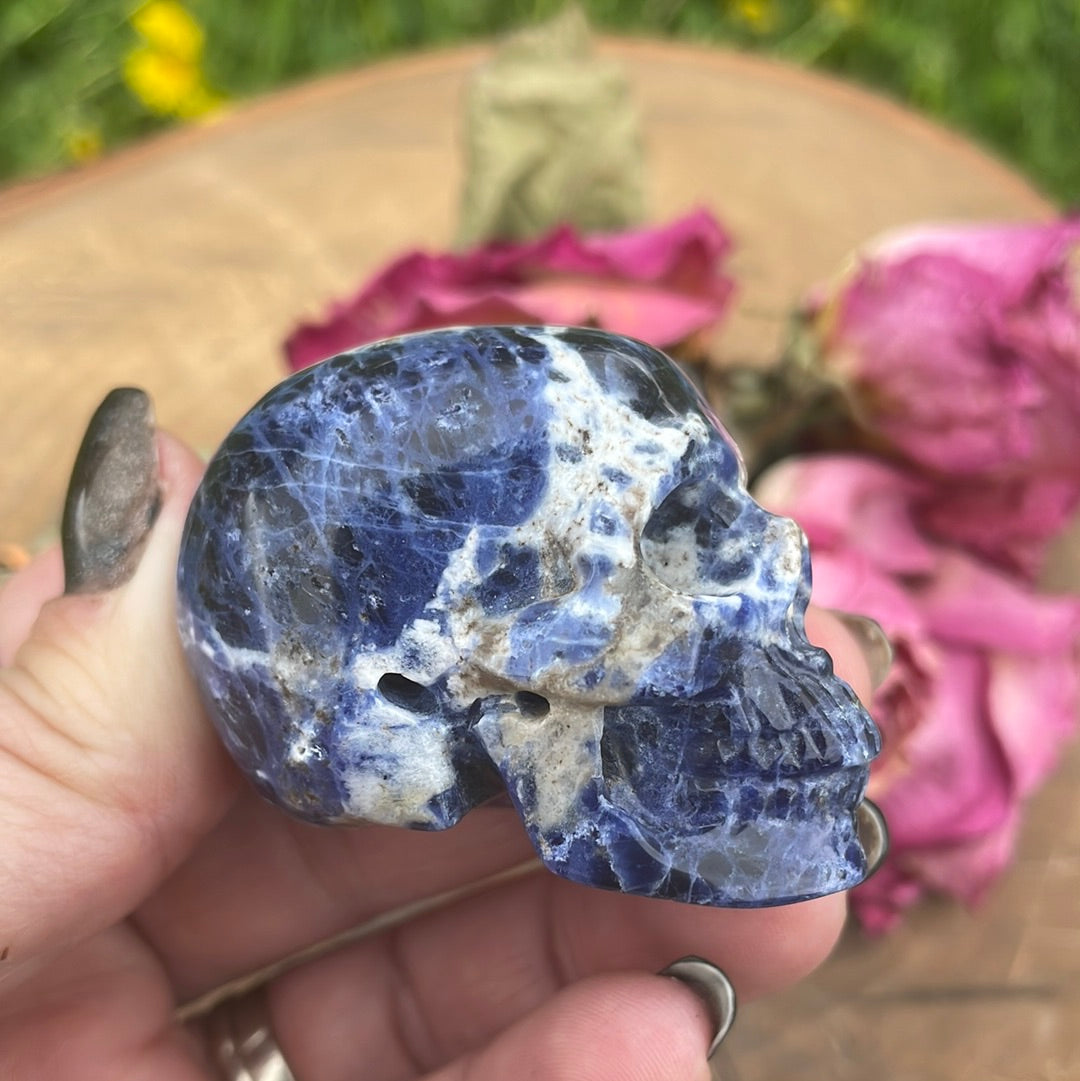 Sodalite Crystal Skull