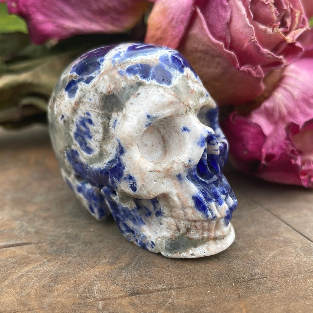 Sodalite Crystal Skull